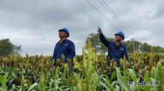 国网九三供电公司：“汛”速行动防台风