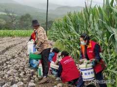 国网牡丹江东宁市供电公司：守望相助 同心重建