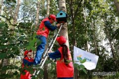 兴凯湖供电公司：首个生态日 为鸟建新居
