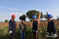 岱：畔高粱红 凉城县喜迎丰收年