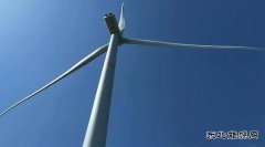 为祖国之壮美增添一抹“乐博体育绿”