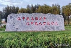 陕西中能煤田有限公司：秋意中能，倾国倾城