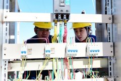 国网黑龙江水电总厂：特巡“把脉”设备 确保安全运行