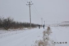 国网巴林左旗供电公司：雪后巡线保障供电安全