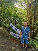 海南呀诺达热带雨林游记—— 海南旅居印象散记之六