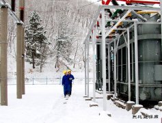 黑龙江水电总厂：寒潮来袭 特巡特护保供电