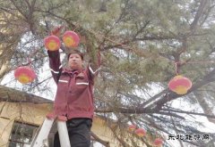 牛儿庄采矿公司欢天喜地迎新年