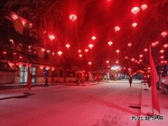 摄影作品：春雪闹新春