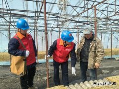 国网牡丹江东宁市供电公司：撑起“安全伞”助力企业“开门红”