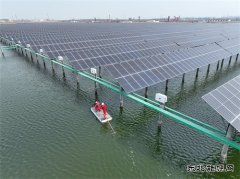 碧波粼粼 “绿”意盎然