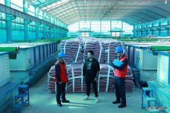 兴凯湖供电公司：党员带头助春耕 不负春光不负农