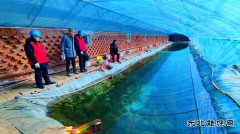 国网九三供电公司：助力棚菜经济快速发展