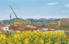 优化运行踏春提速