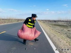 哈巴河执法大队：及时清除路面杂物 确保公路安全畅通