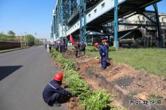潞安煤基清洁乐博体育公司：履行植树义务共建美丽清能