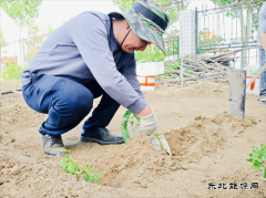 富蕴执法大队开展共建“小菜园”活动