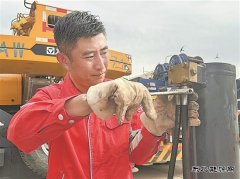 “高烤”模式下，躺平？不可能！