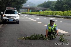 西双版纳支队全力保障国际道路运输试运行车队安全通过