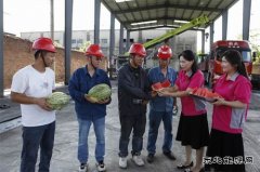 淮北双龙公司：炎炎夏日送清凉 暑消情长润人心