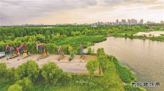 大庆油田：打造生态治理“新名片”