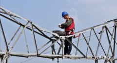 商丘供电公司：爱鸟护线  奏响和谐曲