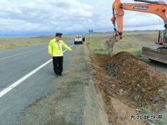 富蕴执法大队：开展路域环境整治行动 全面提升公路“颜值”