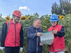 凉城供电公司：电力足向阳花盛开