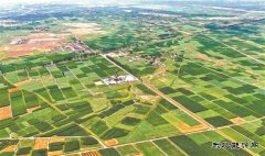 华北油田：巴彦拔节声声响 百万吨上产节节高