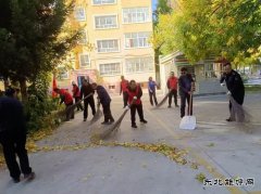 阿勒泰执法支队哈巴河执法大队：党员志愿服务在行动