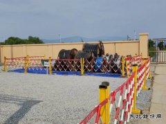 黑龙江佳木斯供电公司3项基建工程提前投产