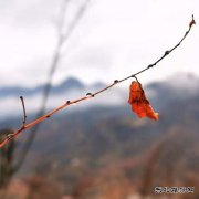 让生活忠于内心，释于安然