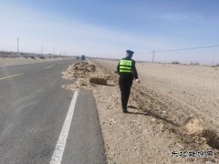 哈巴河执法大队：清除路面杂物，及时化险为夷