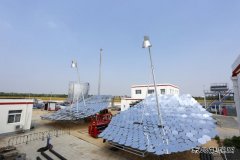 追光逐日向“新”行