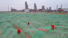 环保施工 “绿”满戈壁