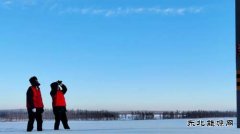 国网九三供电公司：特巡特护守安全 保供“佳节”