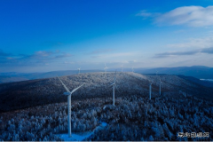 绿电保供亚冬 守护“雪韵丁香”