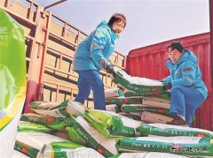 春肥到家 送技到田