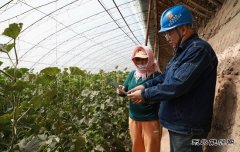 国网阿鲁科尔沁旗供电公司：不误农时不负春 电力服务助农户