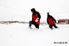 国网敖汉旗供电公司组织人员雪中巡线