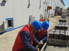 国网牡丹江东宁市供电公司：菌业“电保姆”供电护航助发展