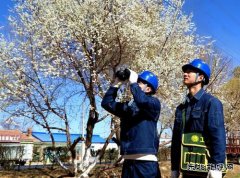 国网敖汉旗供电公司：青山灼灼巡线早 护航春灌保电忙