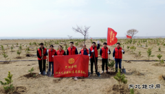 国网巴林右旗供电公司：春风执笔绘绿浪 铁锹为弦奏青章