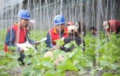 国网阿鲁科尔沁旗供电公司：电力赋能奏响乡村振兴“交响曲”