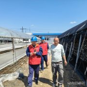 国网牡丹江东宁市供电公司：服务菌农 助力木耳产业用电安全