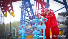 深耕细作 绘产量“丰”景