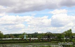 国网黑龙江水电总厂科学调度水库用水 保障农田灌溉需求