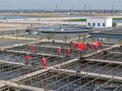 党员争先保水质