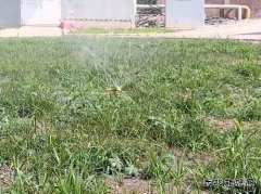 牛儿庄采矿公司：废水巧利用环保又节能