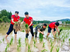 中国石化1.1万座加油站服务农机 助力“三夏”