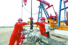 辽河冷家油田：稠油冷采 节能增产